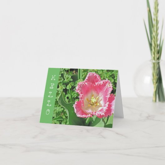 CARTE "TULIP ROSE ET BLANC AVEC FRINGE / HELLO" (Devant)