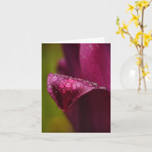 Carte Tulip violet (Fleur jaune)