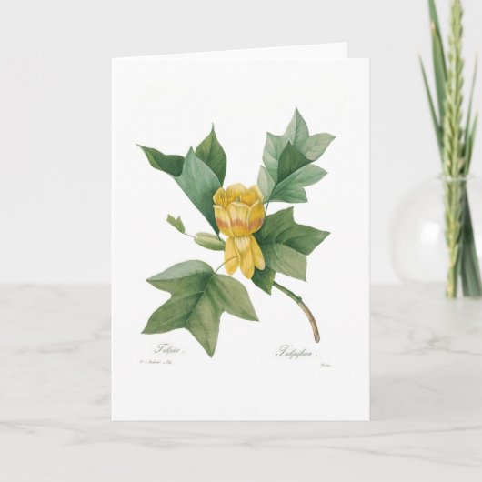 Carte Tulipe (Devant)