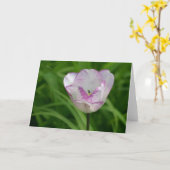 Carte Tulipe blanc pourpre (Fleur jaune)