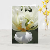 Carte Tulipe blanche (Fleur jaune)