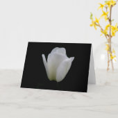 Carte Tulipe blanche (Fleur jaune)