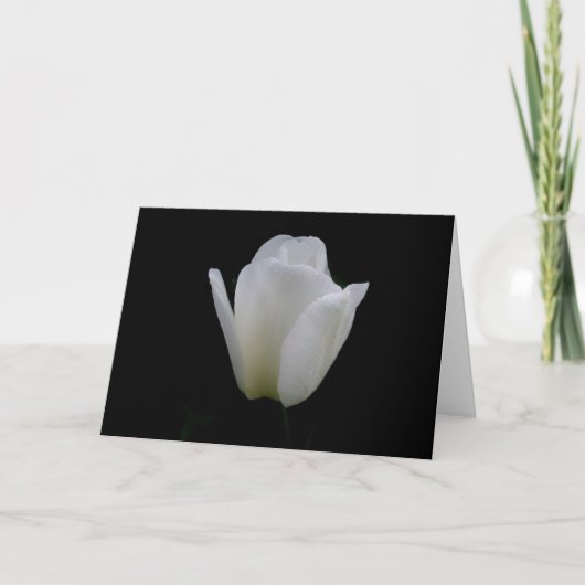 Carte Tulipe blanche (Devant)