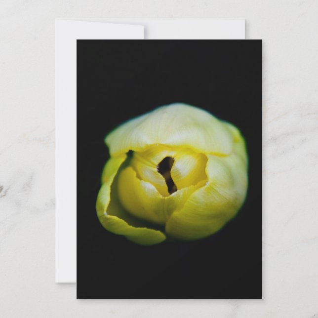 Carte Tulipe fermée (Devant)