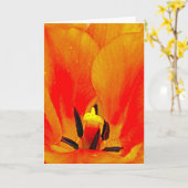 Carte Tulipe orange (Fleur jaune)