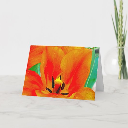 Carte Tulipe orange (Devant)