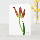 Carte "Tulipe" par J. Maya Luz (Fleur jaune)