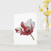 Carte Tulipe Parrot (Fleur jaune)
