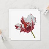 Carte Tulipe Parrot 10x (Devant/Arrière en situation)