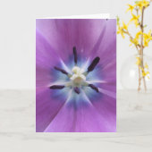 Carte Tulipe pourpre (Fleur jaune)