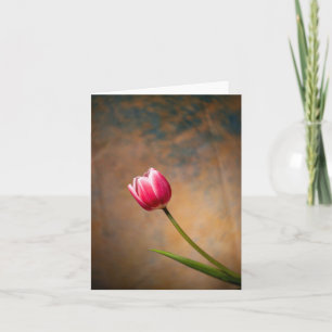 Carte Tulipe rose avec une torsion