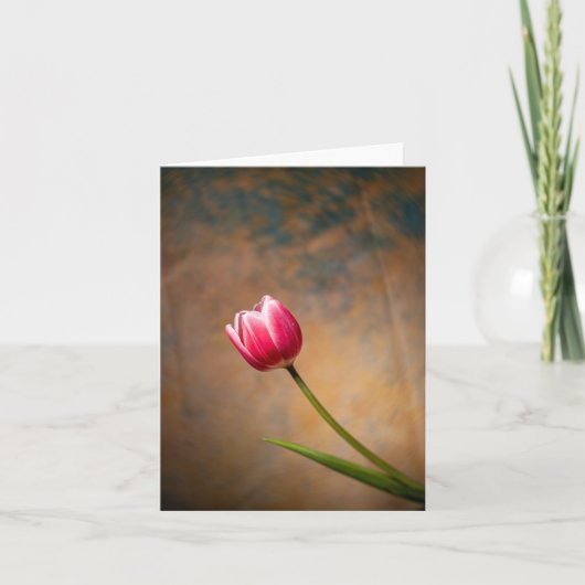 Carte Tulipe rose avec une torsion (Devant)