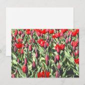 Carte tulipe rouge (Devant / Derrière)