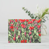 Carte tulipe rouge (Debout devant)