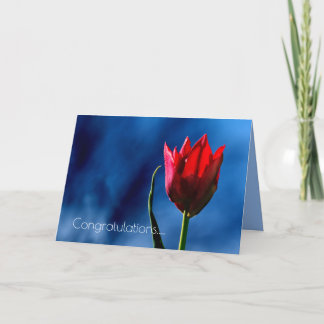 Carte Tulipe Rouge Joyeux Jour de Divorce