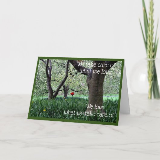 Carte Tulipe rouge unique pour l'amour et l'attention (Devant)