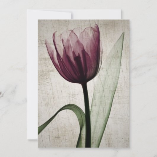 Carte Tulipe vintage X-Ray (Devant)