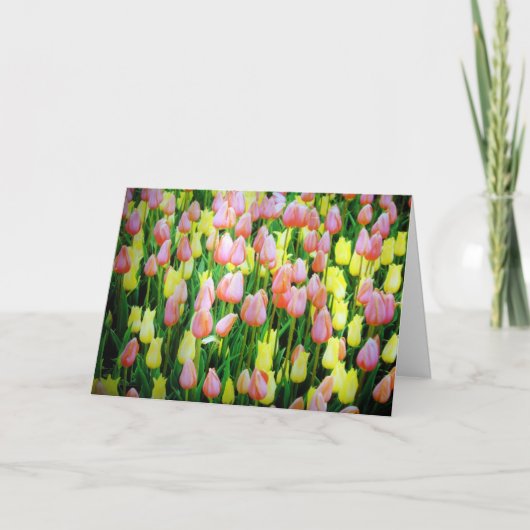 Carte tulipes (Devant)