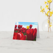 Carte Tulipes (Fleur jaune)