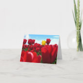 Carte Tulipes (Devant)