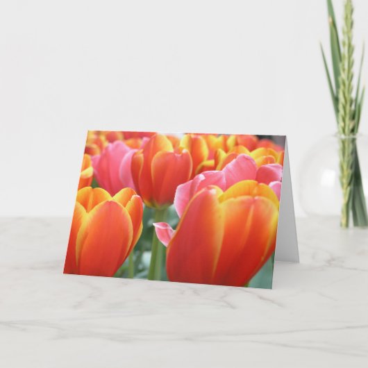 Carte Tulipes (Devant)