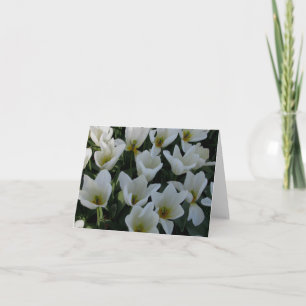Carte Tulipes blanches
