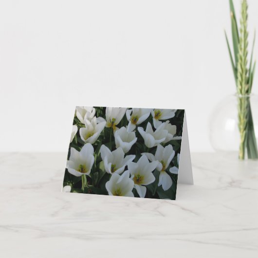 Carte Tulipes blanches (Devant)