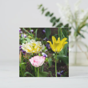 Carte Tulipes blanches, roses et jaunes dans le jardin