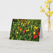 Carte Tulipes colorées (Fleur jaune)