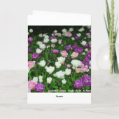 Carte Tulipes colorées (Dos)