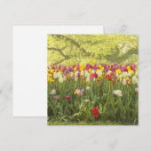 Carte Tulipes colorées dans un parc (Devant / Derrière)