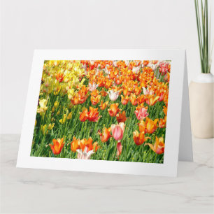 Carte tulipes colorées et vibrantes