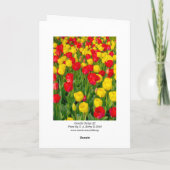 Carte Tulipes colorées III - Verticale (Dos)