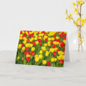 Carte Tulipes colorées IV (Fleur jaune)