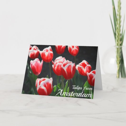Carte Tulipes d'Amsterdam (Devant)