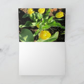 Carte Tulipes de printemps (Intérieur)
