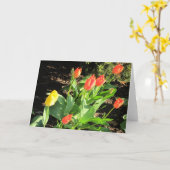 Carte Tulipes de printemps (Fleur jaune)