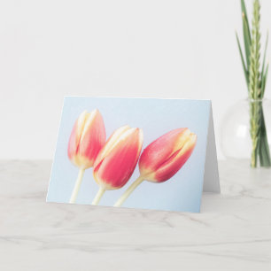 Carte Tulipes de printemps vierges à l'intérieur