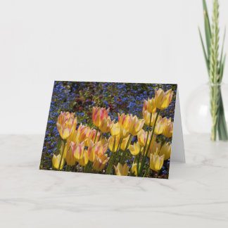 Carte Tulipes et myosotis des marais