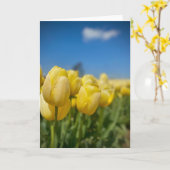 Carte Tulipes Jaunes (Fleur jaune)
