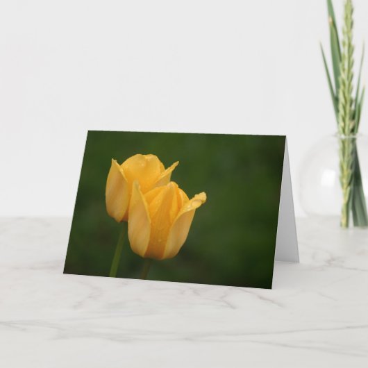 Carte Tulipes jaunes (Devant)