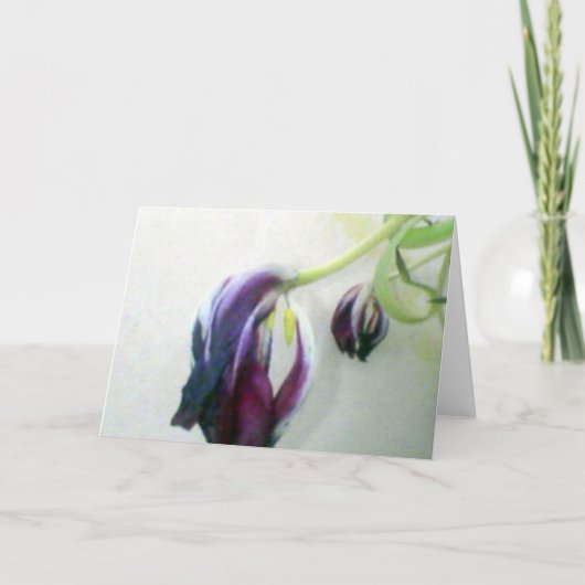 Carte Tulipes mortes (Devant)