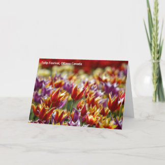 Carte Tulipes multicolores