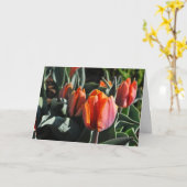 Carte Tulipes orange 1 (Fleur jaune)
