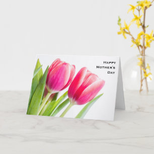 Carte Tulipes roses avec Feuilles verts Photo Anniversai