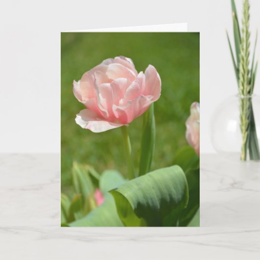 Carte Tulipes roses chics et ensoleillées (Devant)