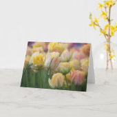 Carte Tulipes roses et jaunes (Fleur jaune)