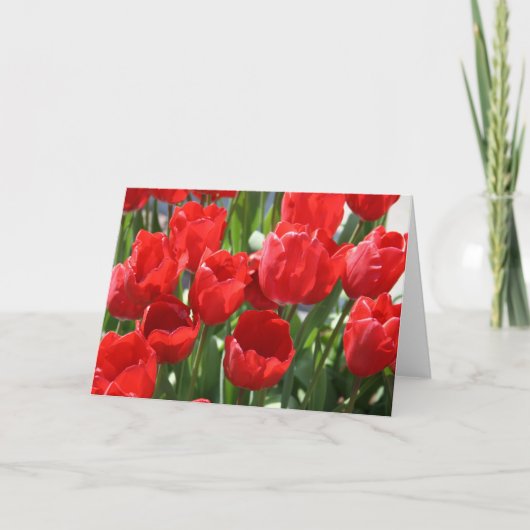 Carte Tulipes rouges (Devant)