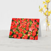 Carte Tulipes rouges (Fleur jaune)