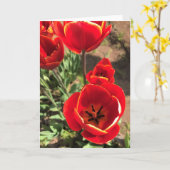 Carte Tulipes rouges à l'intérieur (Fleur jaune)
